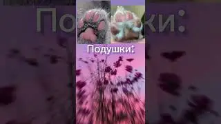 Создай животного мечты🌸