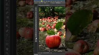 Buat foto Bokeh instan