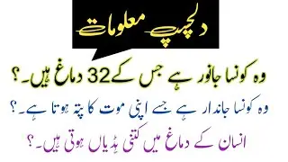 Urdu paheliyan Urdu paheliyan 2023/New Interesting facts in urdu 2023/Urdu riddles with answers 2023