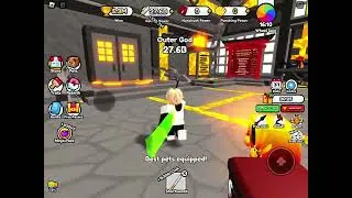 Me playing  Ninja Fighting Simulator in roblox