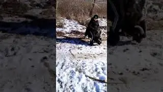 Сашка на козле...Кука 2024
