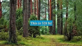 528 Hz