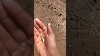 #trending #youtube #public speed #india 🎏 fish in hand alive