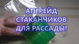 UPGRADE OF SEEDLINGS CUPS! HOW TO MAKE A BOTTOM FOR A CUP