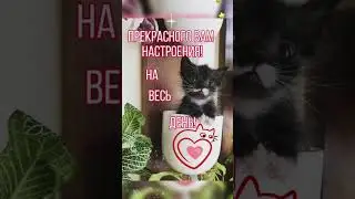 #музыкальнаяоткрытка