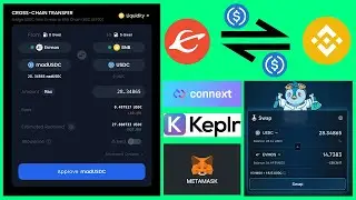 How to use Connext cross chain bridge on EVMOS Mainnet | Transfer your funds From EVMOS to BNB Chain