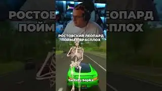 ЛЕОПАРДИК ПОПАЛСЯ В ПРЯМОМ ЭФИРЕ | ТГК: HE_eaevv #bo55ik #пятёрка #пятерка #shorts
