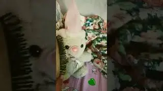 рашесчка