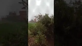 ١٢ مارس ٢٠٢٠