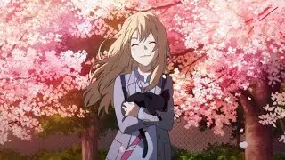 Your Lie In April [AMV] - Say Something