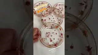 Epoksi Çukur Çay Tabağı