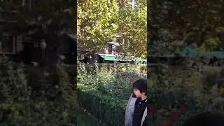 Ереван. Конец ноября. Очень тепло.