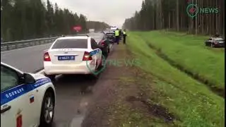 47news: видео с места убийства Бадри Шенгелия