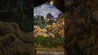VAN GOGH'S PROJECTION 2                         #arte #artista #vangogh #art #artist #historiadaarte