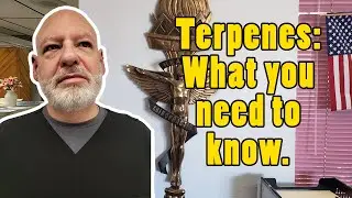 Terpenes 101 - Myrcene and Caryophyllene