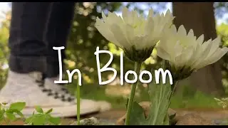 In Bloom: A short student film