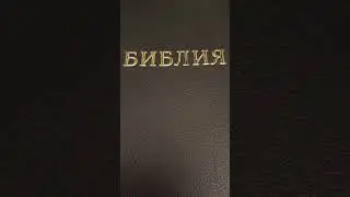 Живая Церковь!