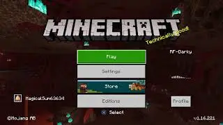 Live Streaming Minecraft!