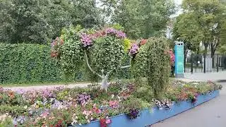 супер красота на территории лужники