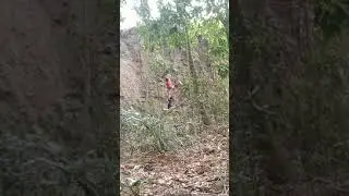 Pertualangan bocah kontol