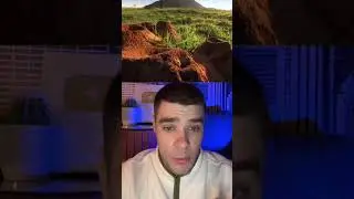 Ученые Залили Бетоном Муравейник И Увидели Нечто‼️😱 