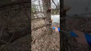 Ручная пила VertexTools 