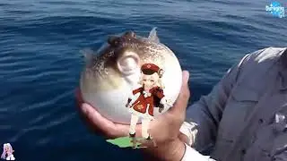 When Klee blasts fish and Jean doesn’t find out (PART 2)