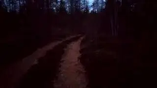 подход к каменному глухарю .который совсем не глухарь все слышит))