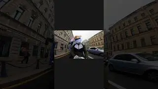 Животное на дороге ⛔️😂 