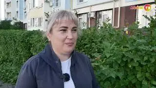 Содержание и уход за элементами озеленения и благоустройства