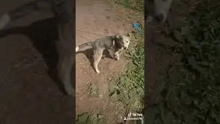 4 июня 2020 г.