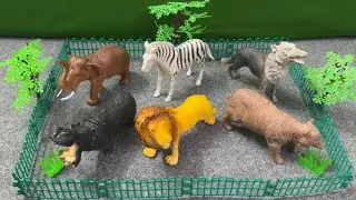 Animals for kids, Animals toys, Animal names learning, for toddlers and preschoolers.