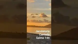 Señor que tus fieles te bendigan - jaculatoria Cantada #musicacatolica #oracion #salmos