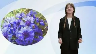 Рэспубліканскі творчы конкурс  "Жывая класіка". Вучаніца 9 класа Лаўрушкевіч Васіліна