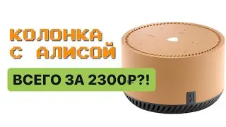 Гайд как купить Яндекс станцию с Алисой за 2000₽