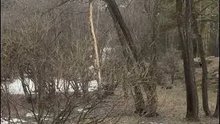 Почему мой муж тюфяк , а вокруг есть мужчины реализованные
