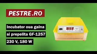 Montaj clocitoare oua gaina si prepelita GF-1257, 230 V, 180 W