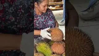 DURIAN TERMURAH & TERVIRAL🔥 DURIAN OPUNG BUTET TANJUNG🔥