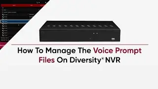 How To Manage The Voice Prompt Files On Diversity NVR