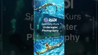 Unterwasserfotogrfie Kurs
