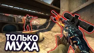 играю только с мухи (SSG 08) В КС ГО