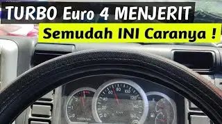 Instantly NGIRRR‼️Make a Powerful Euro 4 Canter