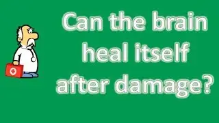 Can the brain heal itself after damage ? | Health Channel