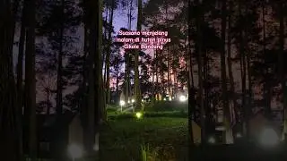 Menikmati sunset di tengah hutan pinus Cikole Bandung