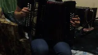 Гармонь 402