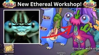 I Beat Ethereal Workshop.