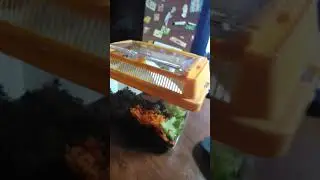 Целый обзор на предметы для ахатин