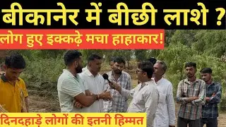 Bikaner की ये घटना देखकर हैरान रह जाएँगे ~Bikaner News