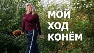 пробую хоббихорсинг