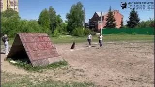 Гаманова Анна и немецкая овчарка ФОНТЕ ФИДЕЛИТИ ШАРЛОТА. Испытания ОКД. Самара, 25 мая 2024.